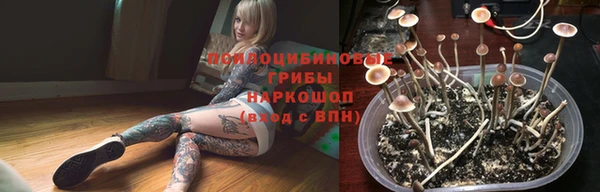 ALPHA PVP Елизово