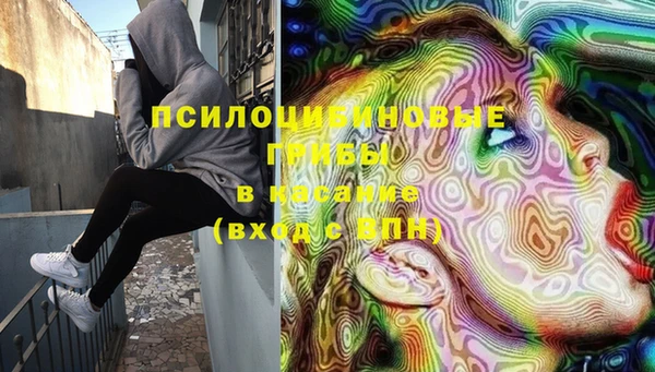 дживик Богданович