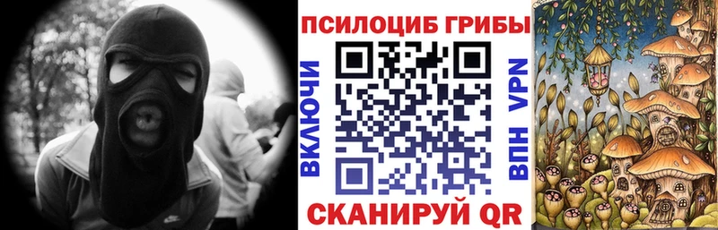 Псилоцибиновые грибы ЛСД  Болхов 